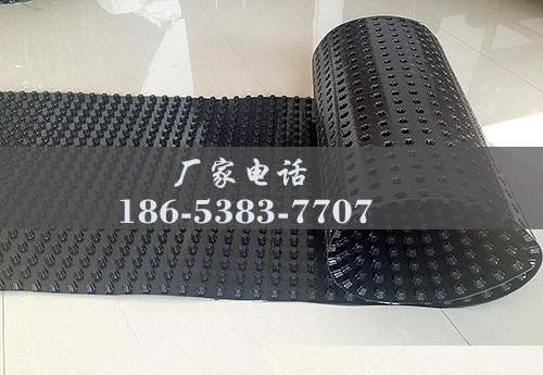 排水板廠(chǎng)家http://www.whyingpai.com/