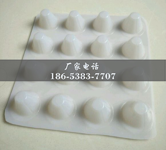 排水板廠(chǎng)家http://www.whyingpai.com/