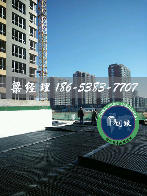 排水板廠(chǎng)家http://www.whyingpai.com/