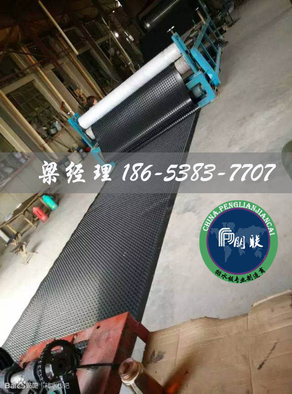 排水板廠(chǎng)家http://www.whyingpai.com/