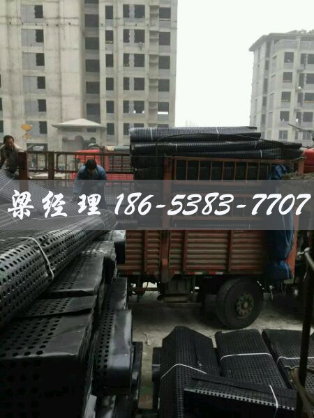 排水板廠(chǎng)家http://www.whyingpai.com/